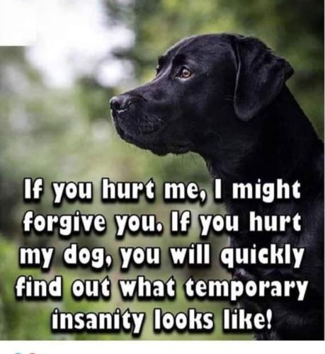 47ff651f3f33279ab7c071affba0228a