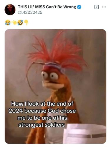 IMG_20241228_073357_351