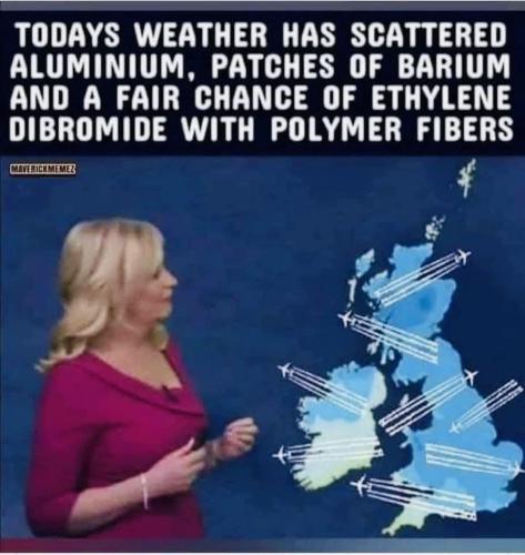 image_071A2268-2E2B-4D9E-8284-F2AC658FEA54