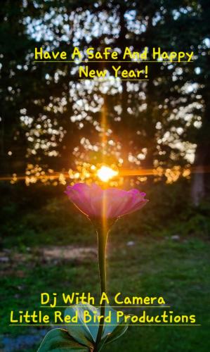 Screenshot_20241231_075713_Gallery