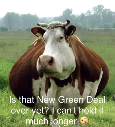 image_2024-12-13_062858130