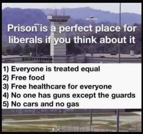 IMG_20241228_075318_483