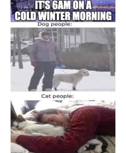 s-6am-on-cold-winter-morning-dog-people-cat-people