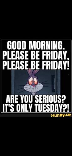 Screenshot_20241231_072257_Gallery