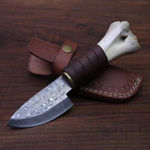 FB_IMG_1637331468891