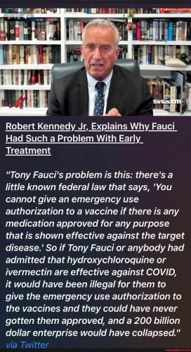 image_2024-12-08_094453253