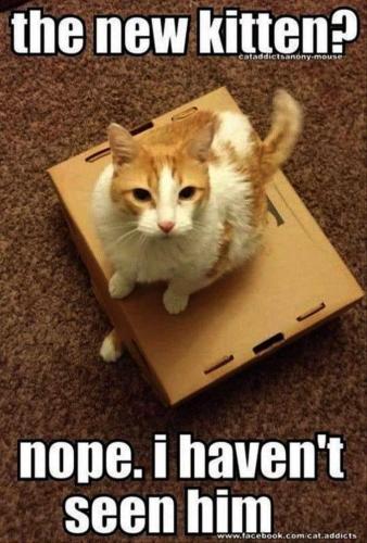 523ba71a59da543226729d8b25adf3ee