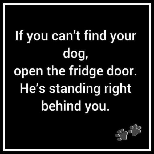 a44622d3eca8bf6c5c78e9adf555455d