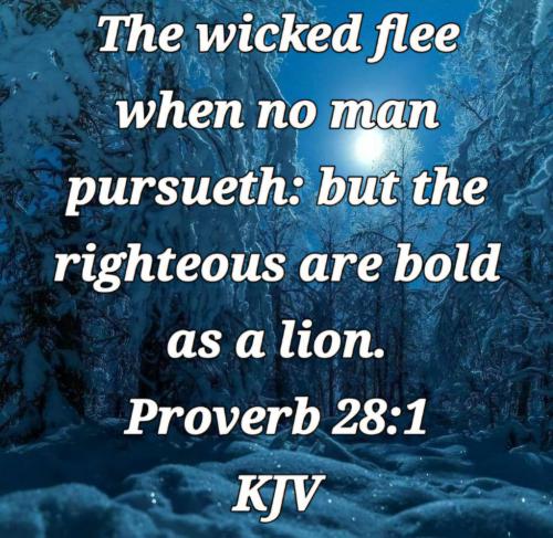 9ada4935-613d-46b2-9428-12515dd681e1