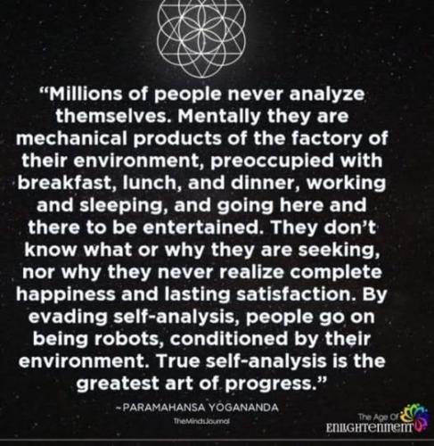 474750916_10232243415499394_2113271426265834654_n
