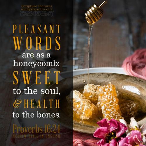 pro-16-24-HBE-unsplash