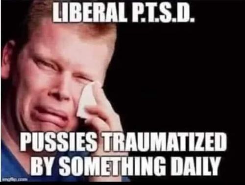 IMG_20250127_205317_837