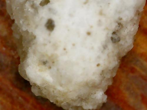 NECK BASE POLYMER NODE (3)