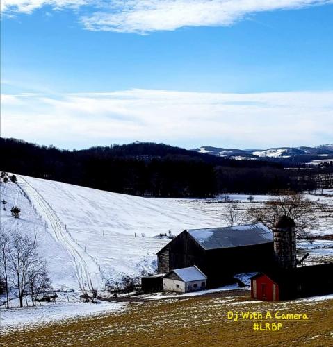 Screenshot_20250105_192817_Gallery