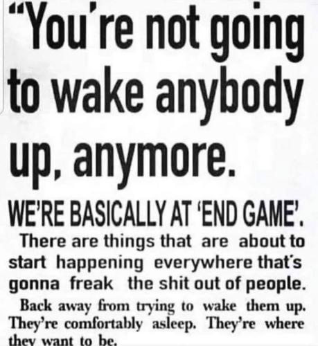 IMG_20250118_043804_464