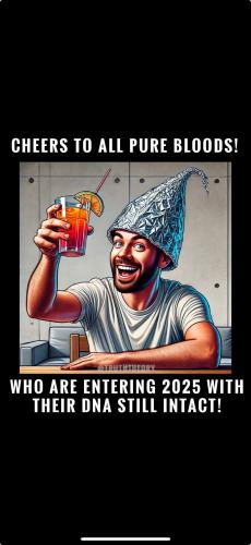 Screenshot 2025-01-01 at 12.06.06 AM