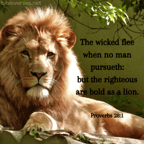 proverbs-28-1