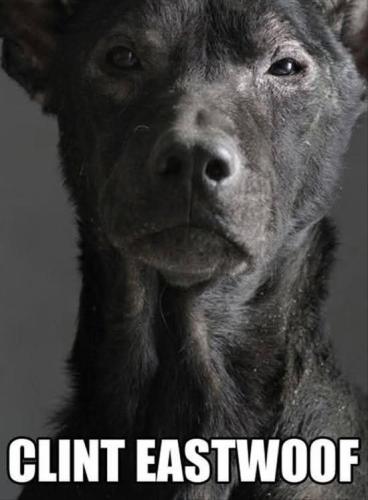 19:03:34 GMT-0600 (CST)