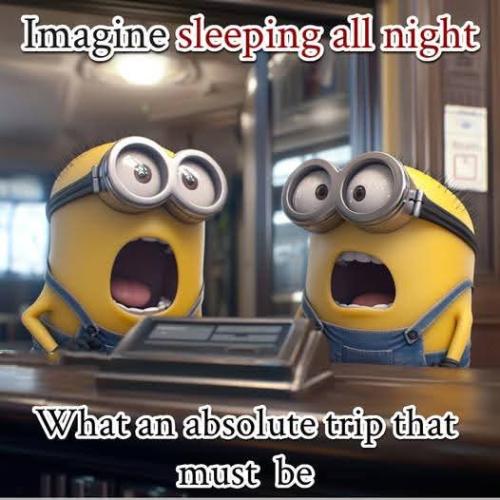 FB_IMG_1736949047255