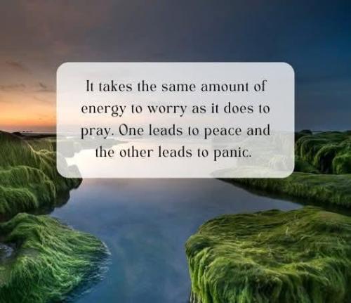 f0cc92ab-71ba-4f60-8881-0e1f47240972