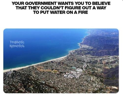 photo_2025-01-11_20-46-05