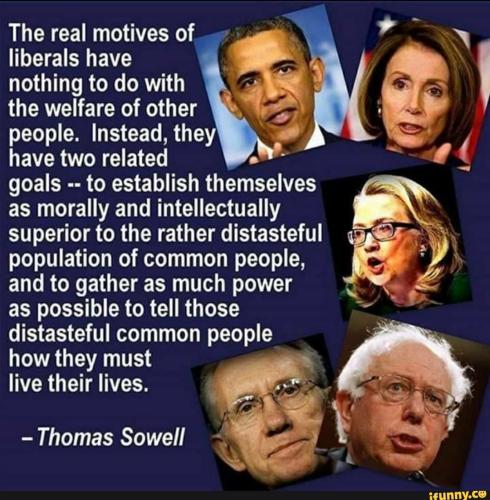 THOMAS SOWELL DEMS