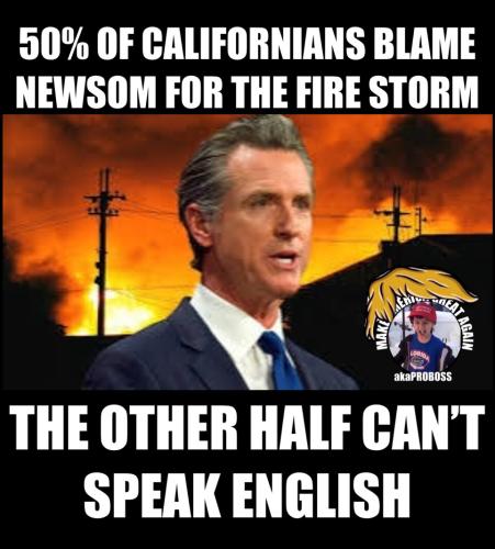 Newsom 1