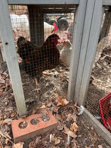 41B49232-1AA2-4BA5-8BF0-FDEFC7F820C6