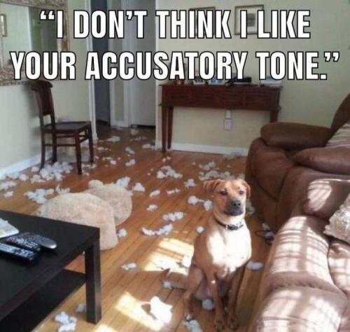 2bf6ff0acae26ff5900df55452f7c852