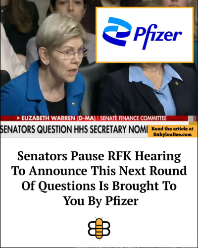 Screenshot 2025-01-31 093455