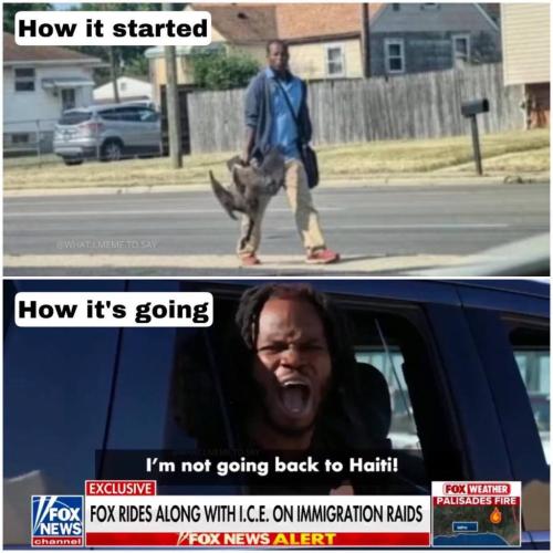 photo_2025-01-25_22-54-17