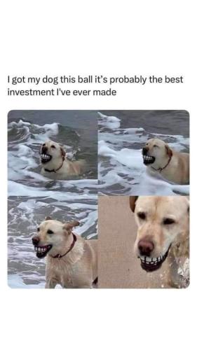 FB_IMG_1736618335447