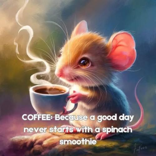 473616697_586312027477856_1289507661712010947_n