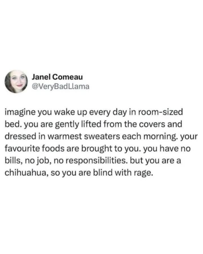 image_CCA4EA21-B72A-4F9B-9F86-02DE6B9A5605