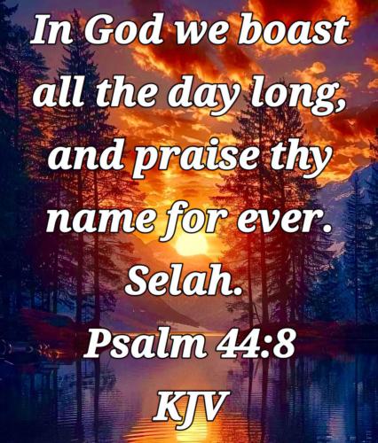 37f40acc-886c-4c66-a35b-eca41d874cd6