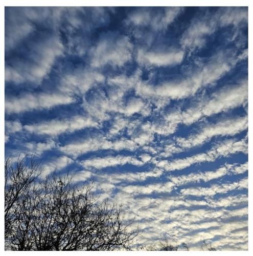 d069315d-24a3-4bc3-8bc7-7fefc3778ac6