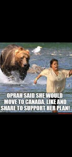 Screenshot_20250116_125126_Gallery