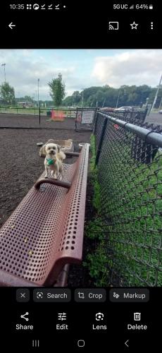 Screenshot_20240806_070640_Gallery