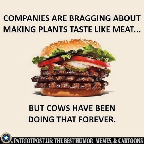 01JH7AGXFN0ZQCBTVVJJZ9X6TZ