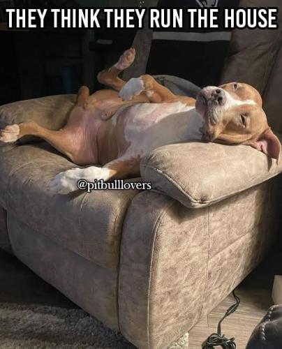 FB_IMG_1736466614837