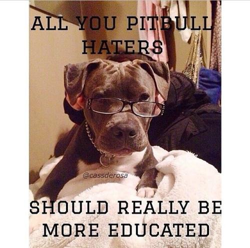 a0d4836885117dbeeb2d0f4991eb8619