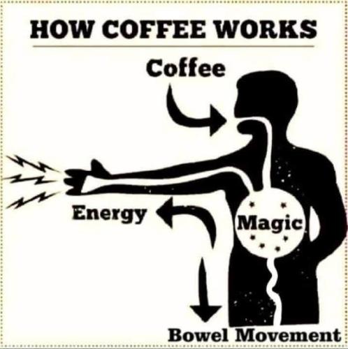 26504E55-C771-4D1D-9DEB-3999154E8D67