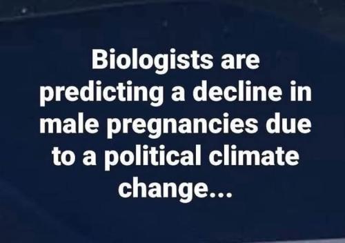 decline in male pregnancy