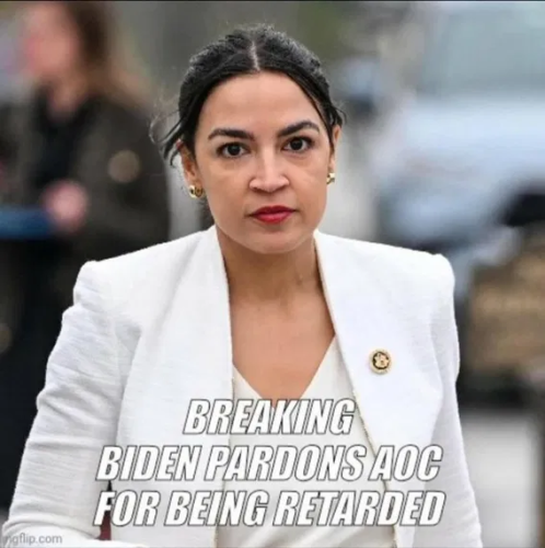 image_2025-01-23_064752290