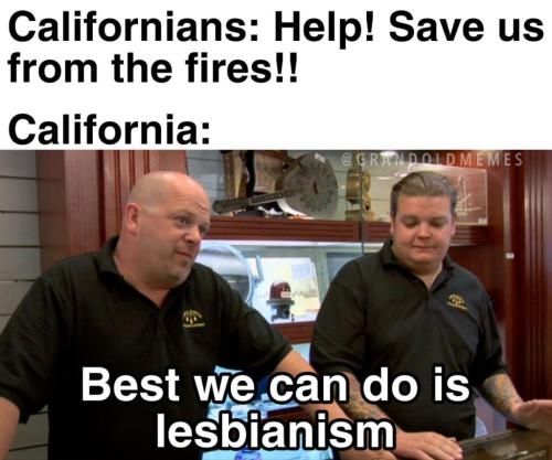 photo_2025-01-08_22-21-51