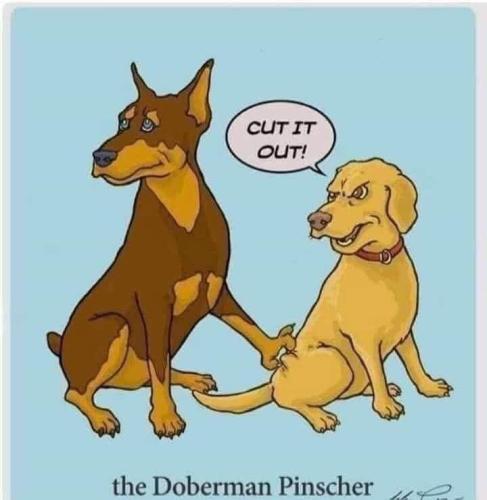 FB_IMG_1736875446971