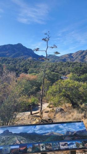 Chisos Basin