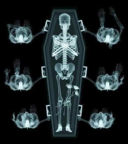 0fc46f13-9748-4515-9681-1ef5eb900ee9