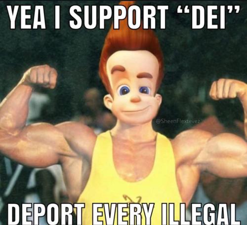 DEI Deport Every Illegal