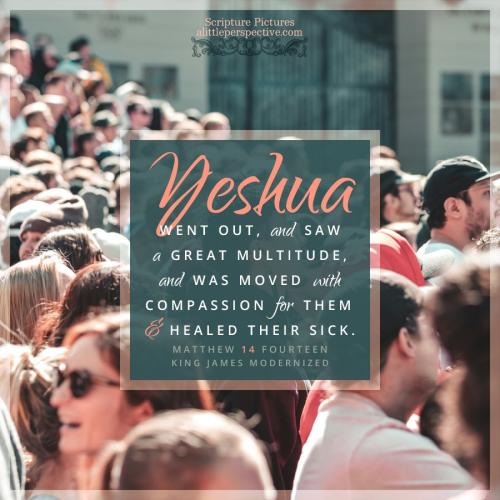 mat-14-14-KJV-unsplash